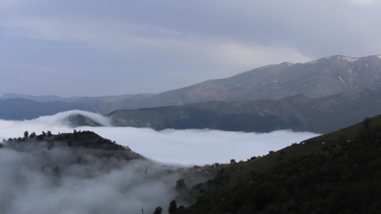Vilamasal 200 (5)
